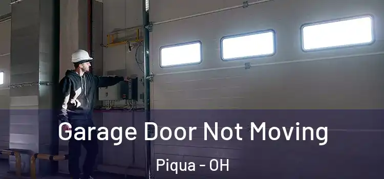  Garage Door Not Moving Piqua - OH
