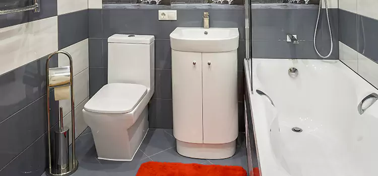 Hansgrohe Shaving Mirror Piqua